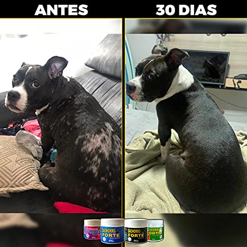 Suplemento Cachorro Forte Pelo e Derme - Suplemento Alimentar para Cães