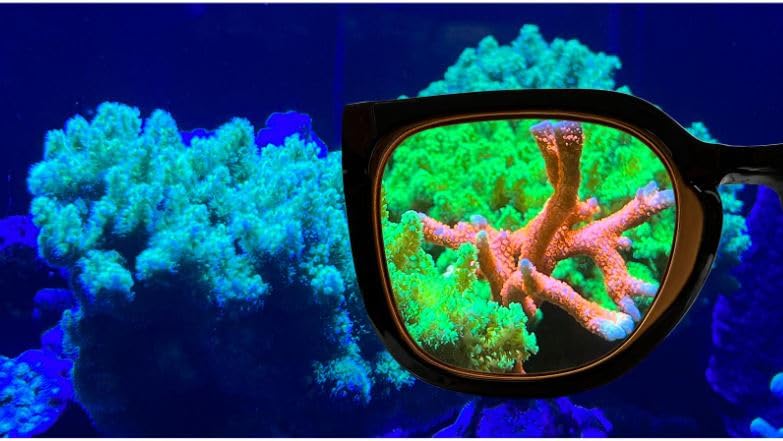 Aqua Medic Coral Glasses