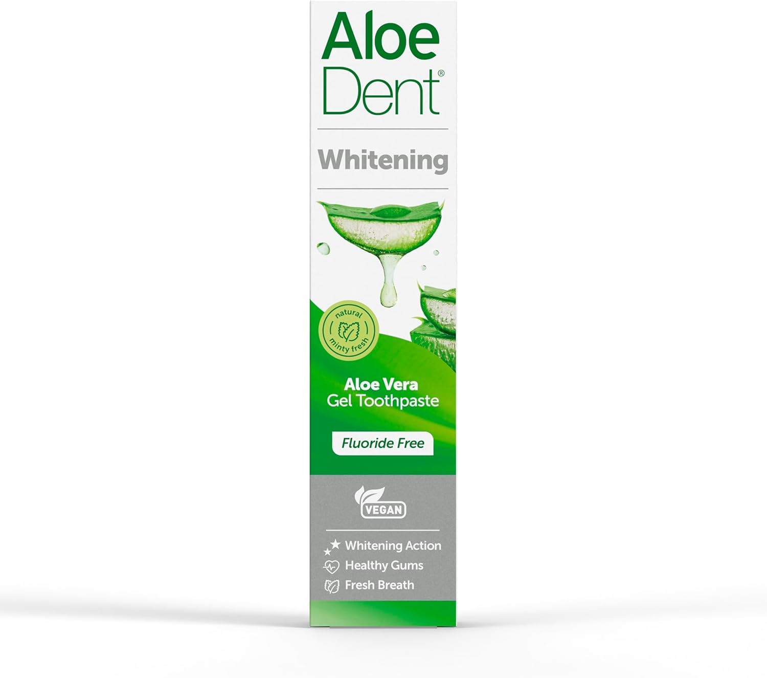 AloeDent Whitening Aloe Vera Plus Echinacea Fluoride-Free Toothpaste, 100 ml, Pack of 6