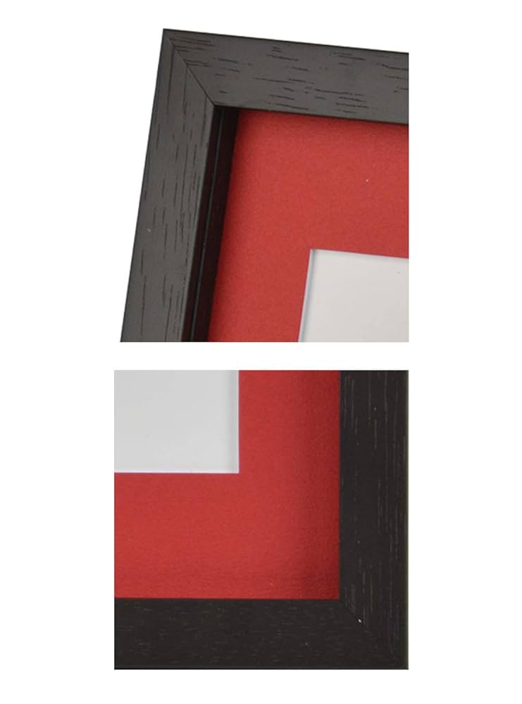 特大　額縁 Amazon.co.jp: 大額 コミックフレーム B6 ブラック/レッド NT010