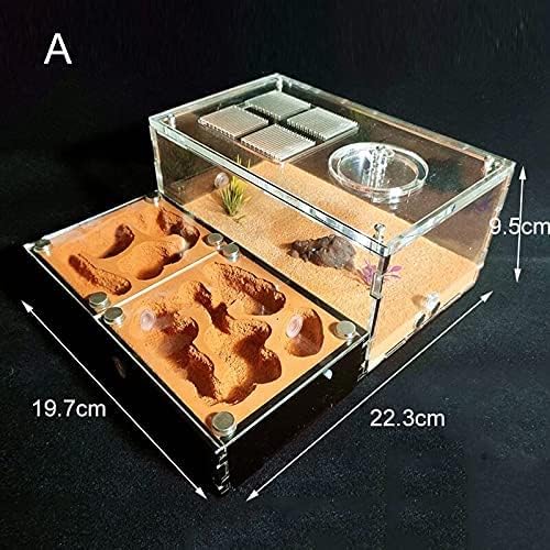 Acrylic Flat Ant Farm Large Plaster Ant Nest Big Gypsum Pet Anthill Insect Castle Workshop Villa Ant House with Feeding Area (A+ 22.3x19.7x9.5cm)