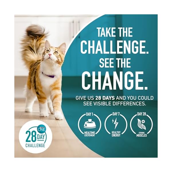 Purina ONE Dry Cat Food, Salmon & Tuna Flavor, 16-Pound Bag by – Bild 10
