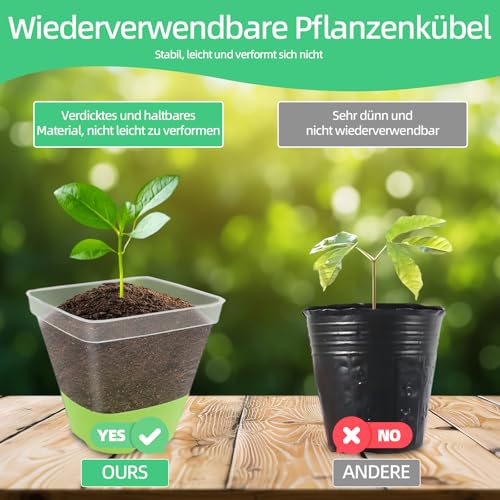 BEIUEN Pack of 10 8 cm Anzuchttöpfe Transparent with Silicone Base. Reusable Plastic Square Plant Pots,Transparent Plant Pots for Succulents, Seedlings