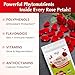 VEGS Rose Petals Tea, 100% Pure Real Red Rose 60 Pyramid Tea Bags - Premium Freeze Dried, Edible Grade Organic Rose Petals for Digestion, Skin Glow, Cleanse Support - No Caffeine & Sugar-Free