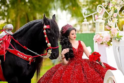 Sparkly Sequin Quinceanera Dresses with Train Gorgeous Puffy Ball Gown Long Sweet 16 Dress2