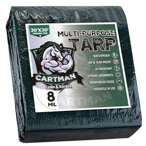 CARTMAN Finished Size 30x30 Feet Waterproof Green Tarp 8 Mil Thick Multipurpose Protective Cover for Emergency Rain Shelter Camping Tarpaulin
