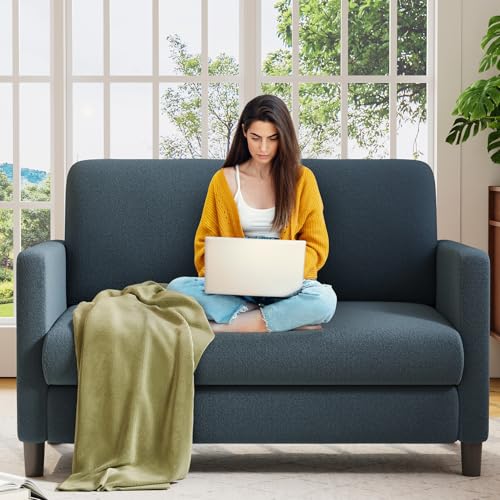 Welzona Loveseat Sofa, 51' Love Seat, Comfy Teddy Small Loveseat for Small Spaces, Tool-Free Setup Sofa Couch for Bedroom, All-Wood Couches for Living Room, No Pillow Included, Blue Grey