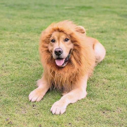 Löwenperücke Hund. Hundekostüm für Halloween und Karneval. Kostüme für, Mittlere oder Große Hunde. Haustierkostüm. Lass deinen treuen Freund den Karneval verzaubern.