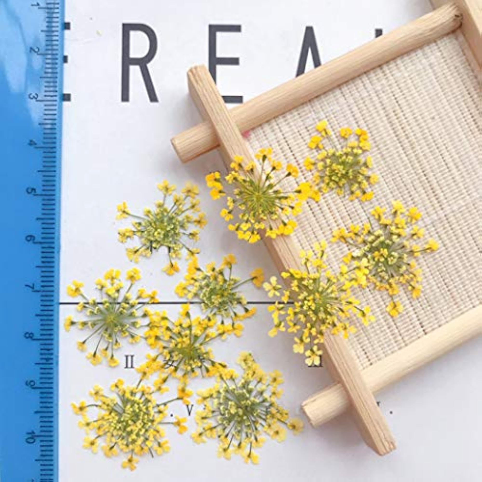 60PCS Real Dried Flower Creative DIY Pressed Flower Kit