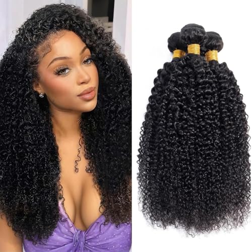 19DL 1B �J�[���[�w�A�G�N�X�e���V���� 24 26 71.1 cm