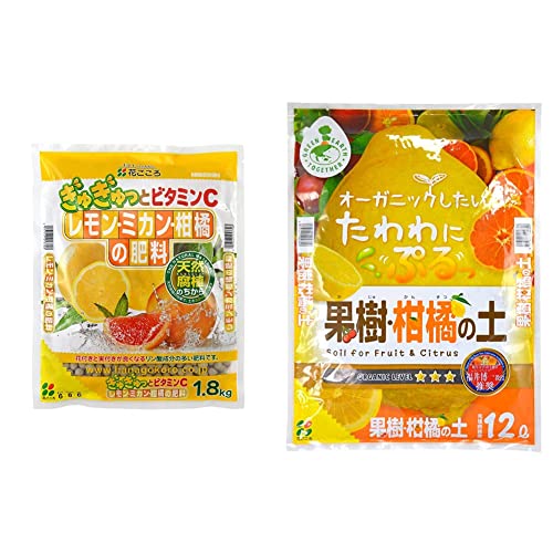 Ԃ E~JEk̔엿 1.8kg & ʎk̓y 12LyZbgz