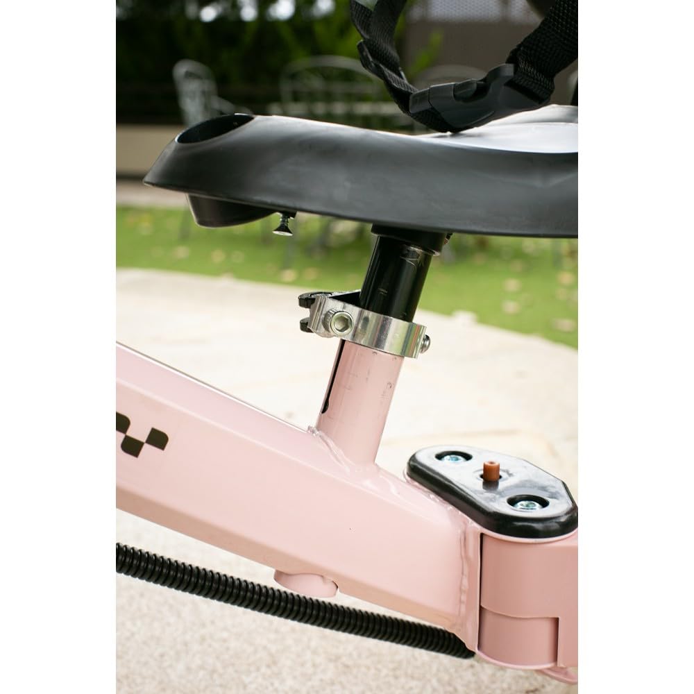 Interbaby - Triciclo "Norby" e Bici Evolutiva 5 in 1 con Capottina - 1-5 Anni