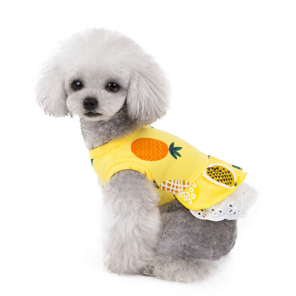 Wolyepor Cute Cartoon Princess Dog Dress Puppy Tutu Skirt Vest Apparel for Daily Life Birthday (Medium, Fruit Yellow)