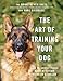 The Art of Training Your Dog: How to Gently Teach Good Behavior Using an E-Collar