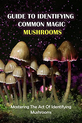 Guide To Identifying Common Magic Mushrooms: Mastering The Act Of Identifying Mushrooms: Characteristics Of Mushrooms