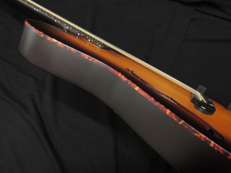 Amazon | SCHECTER OL-FL-N-P TSB ナイロン弦 Oriental Line