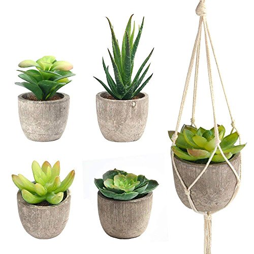FEPITO 5 Pcs Artificial Succulent Plants with 2 Pcs Plant Hangers，Faux Succulents Artificial