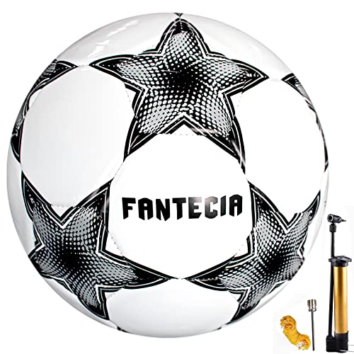 Balones Futbol Sala Marca Fantecia