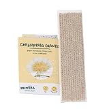 primoza Florfliegenlarven gegen Blattläuse, Thripse, Spinnmilben & weitere lästige Schädlinge | 500 Nützlinge zur Schädlingsbekämpfung