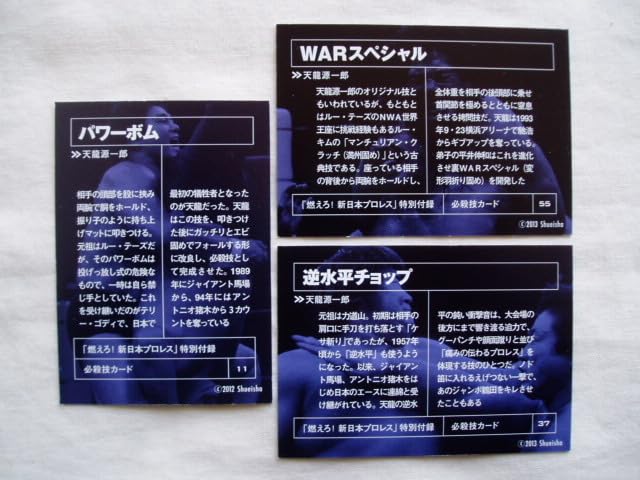Amazon.co.jp: 天龍源一郎 3枚セット◇燃えろ！新日本プロレス DVD特典