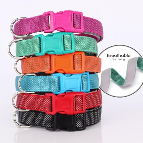 Didog Reflektierendes Hundehalsband mit Schnalle, verstellbar, weiches Neopren, gepolstert, Nylon, Haustierhalsbänder für kleine, mittelgroße und große Hunde, Rot, M