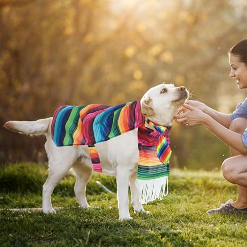 Disfraz Poncho Mexicano Multicolor para Perro Pequeño miniatura 5