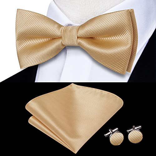 Image of Hi-Tie Pre-Tied Bowties for Men Silk Bow Ties and Pocket Square Cufflinks Set Mens Wedding Party Formal,Champagne