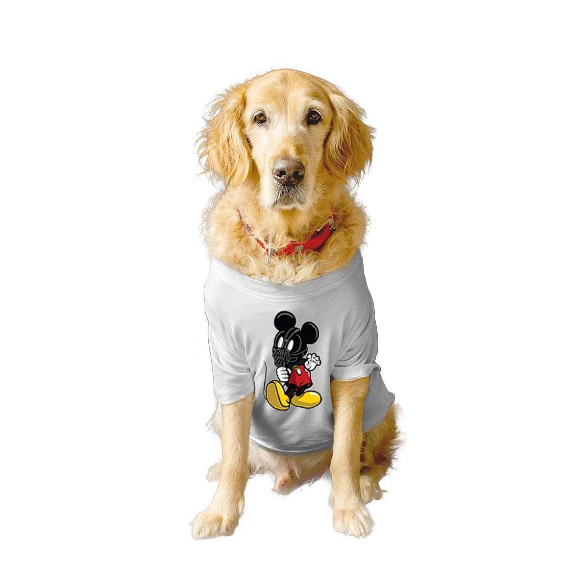 Ruse Basic Crew Neck Mouse Bane Printed Half Sleeves/Apparel/Clothes/T-Shirt Gift for Dogs.Colour-White/Medium (Chubby Pugs, Beagle etc.) (B09799RXNY) Amazon Price History, Amazon Price Tracker