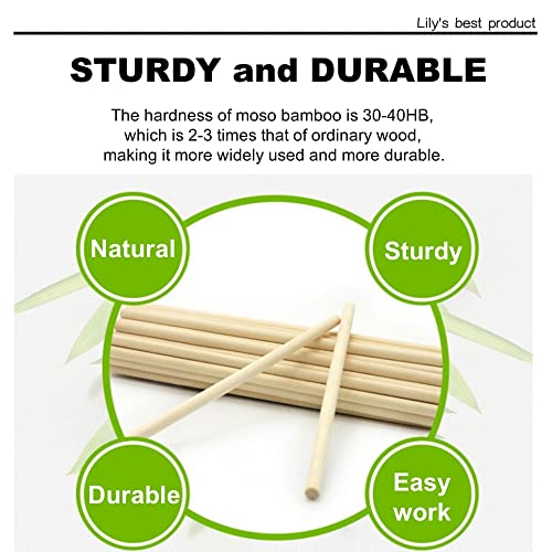 10Pcs Dowel Rods Wood Sticks Wooden Dowel Rods - 1/2 X 48 Inch Unfinished Bamboo Sticks - For Crafts And Diyers #TOP1