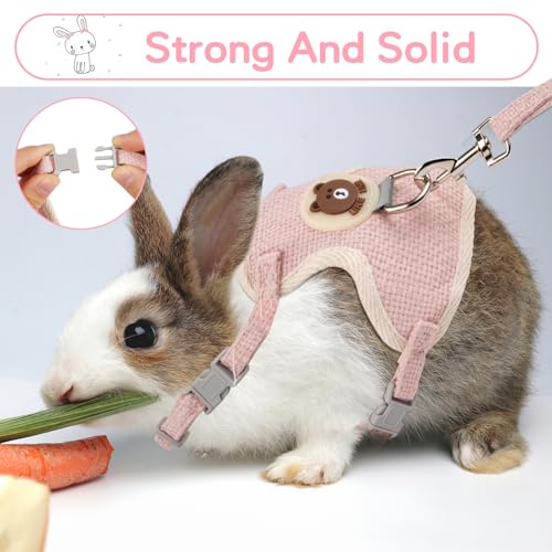 2 Stück Kaninchen Leine - Verstellbare 120cm Weiche Leine - Zubehör Und Geschirr Für Kaninchen, Katzen, Kleine Hunde Und Andere Kleine Haustiere (Blau Und Rosa)