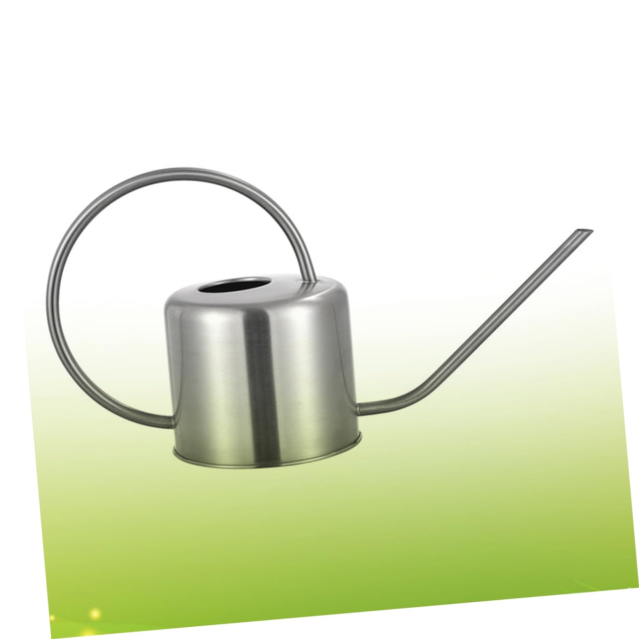 Regadera de Acero Inoxidable 1, 3 L para Suculentas y Flores de Interior