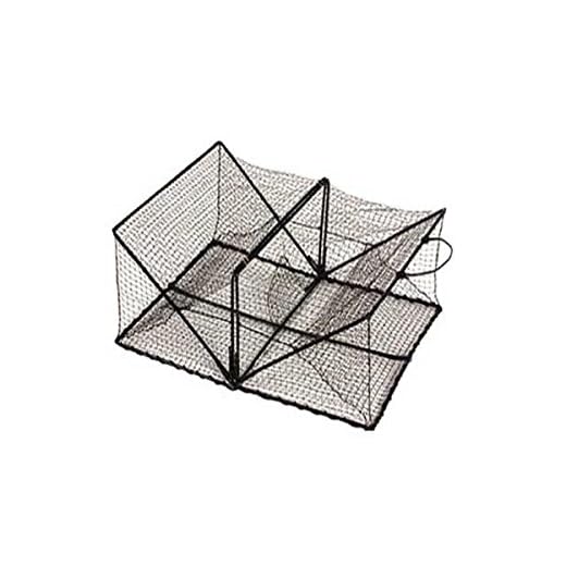 Promar Collapsible Crawfish/Crab Trap 24"x18"x8" - American Maple Inc TR-101, Fishing Accessories, Multi, One Size