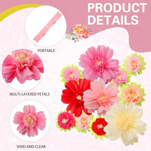 Image of TaoBary Large Colorful Tissue Paper Flowers Giant Fiesta Paper Pom Poms Classroom Wall Decor Mexican Birthday Party Decorations Wedding Backdrop(20 inch and 10 inch,Pink, Beige, Light Orange,36 Pcs)