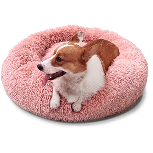 The 7 Best nononfish Dog Beds of 2024 [Verified] Cherry Picks