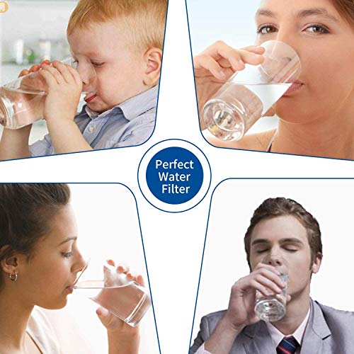 Awolf Accessories W10295370A W10295370 Water Filter Cap Compatible with P4RFWB,EDR1RXD1,P8RFWB2L,Pur Filter 1 Kenmore 46-9930 Kenmore 46-9081 (Packs of 3)
