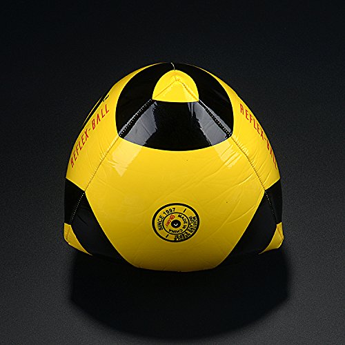 goalkeeper training ball