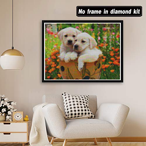 Zeyevan Fai da Te Kit Diamond Painting Completo