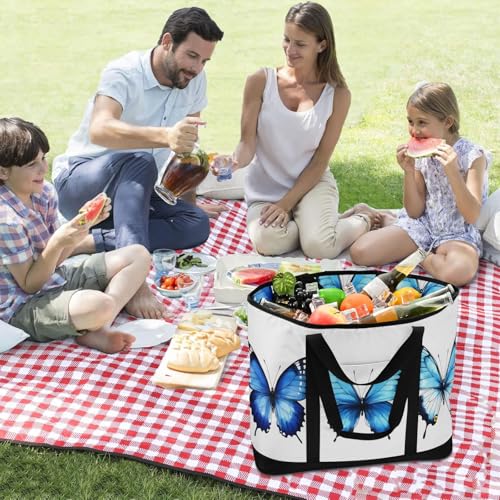 Large Insulated Tote Bag Three Blue Butterflies for Grocery Shopping Reusable Tote Bags for Women Men, Cooler Bag with Zippered Top & Handles for Beach Picnic Travel3