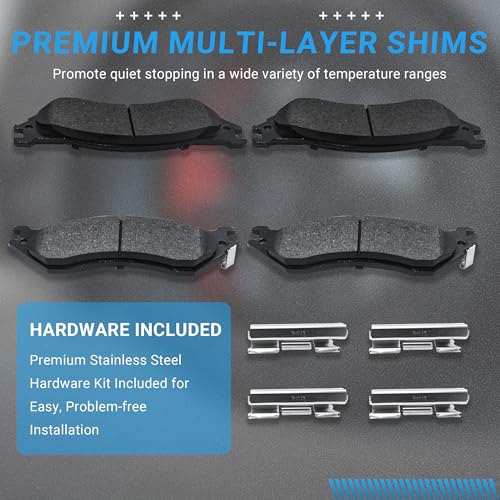 Image of Brake Pads Rear Set Compatible with Ford Expedition F-150 F-250 HD Lobo Heritage, Lincoln Navigator Automotive Replacement Rear Brakes Semi-Metallic D1096