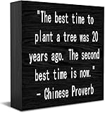 🌳 Best Time to Plant Trees in Central Florida for Healthy Growth 4 51OqCMPVOIL. SL160
