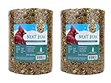 Evergreen Farm and Garden Birdseed Cylinders with Hole - Bird Seed for Outside Wild Birds (Large Cylinder, Neat Beak 2pc)