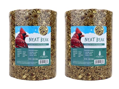 Evergreen Farm and Garden Birdseed Cylinders with Hole - Bird Seed for Outside Wild Birds (Large Cylinder, Neat Beak 2pc)