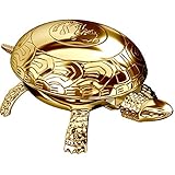 El Casco