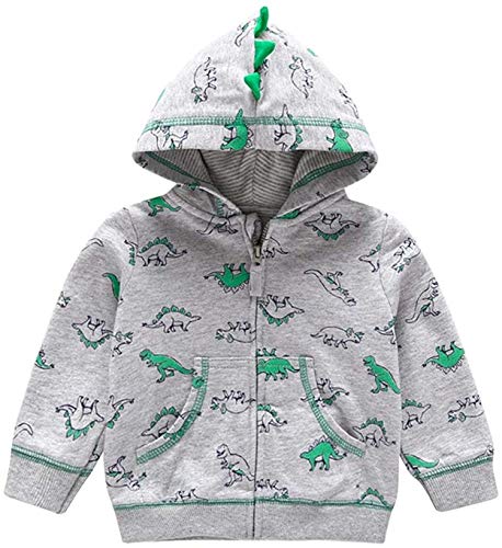 ANIIWO Toddler Baby Boys Girls Hooded Zip Coat Cartoon Dinosaur Hoodies Outwear Warm Long Sleeve Sweatshirt Jacket Coat Windbreaker (Gray Dinosaur,6-9 Months)