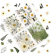 LUXEEASE 100P White Foliage &amp; Flower Mix Dried Flowers for Crafts, Real Natural Pressed Flowers f...
