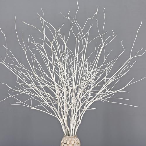 ChopiLine 10PCS Artificial White Birch BranchesBendable Winter Twigs Stems