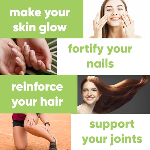 NEOZEN Collagen Sparkling Drink with Dietary Fiber - Balanced Nutrients for Wellness - Sugar Free - Keto-Friendly - No Gluten - No Caffeine - 11.2 fl oz (12 Pack) - Image 4