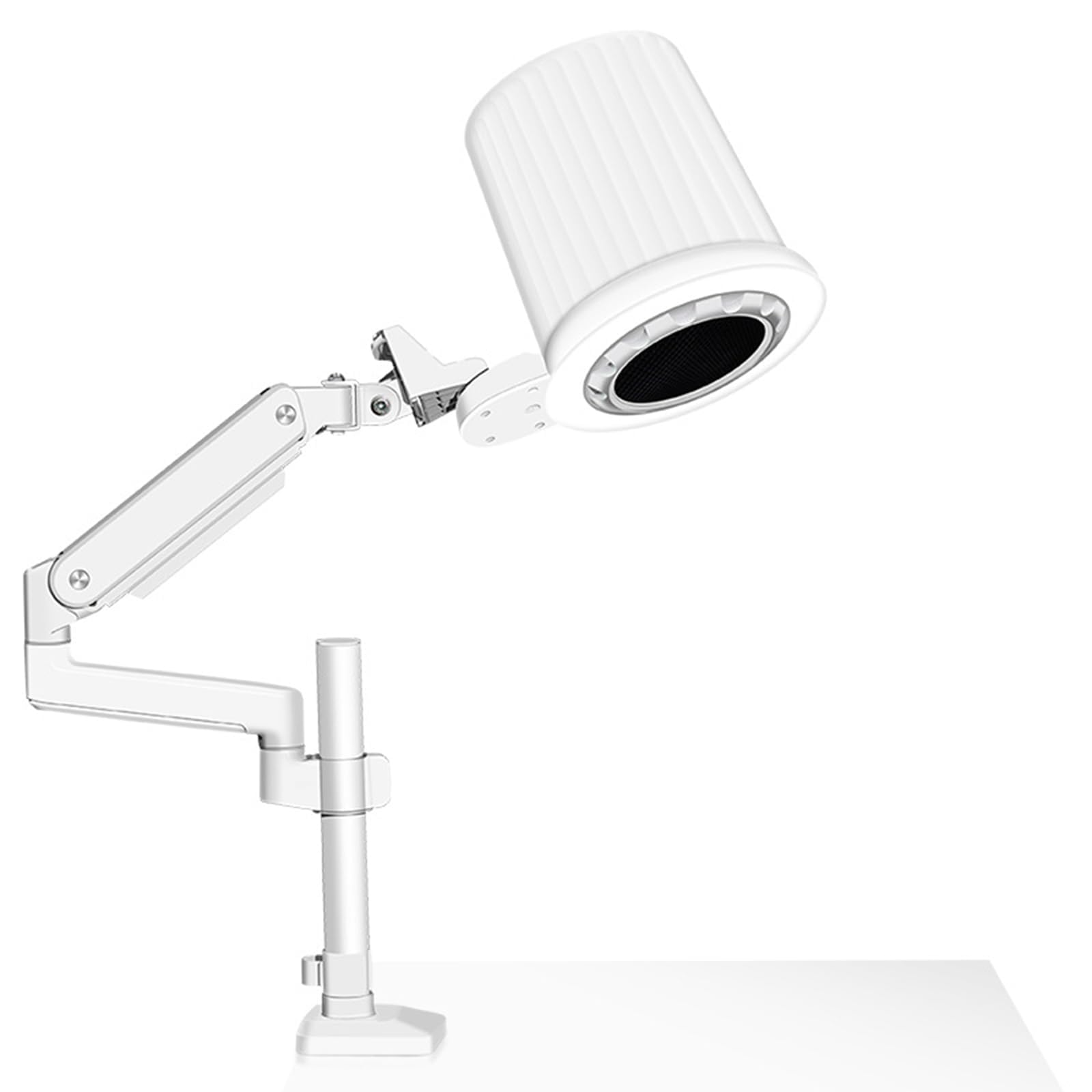 Kit de manucure Professionnel Home Essentials avec Ventilateur à Vitesse réglable, éclairage LED à intensité Variable et Support Flexible à col de cyg
