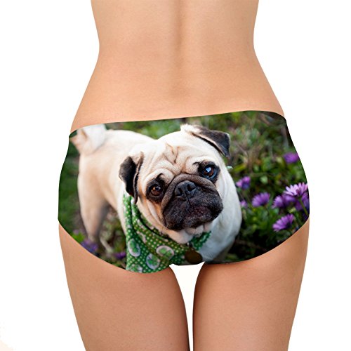 Image of Dellukee Sexy Women Underwear Briefs Breathable Hipster Panty White Alpaca Print