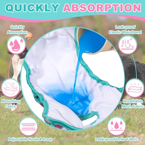 Image of XPCARE Reusable Dog Diapers - 2 Packs Absorbent, Leak-Proof for Female Dogs (Small)